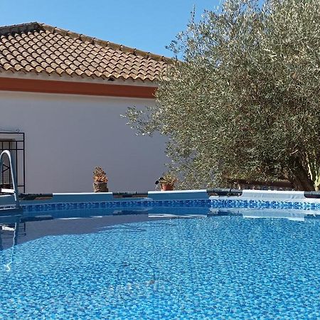 Villa Oasis Los Gallardos Extérieur photo