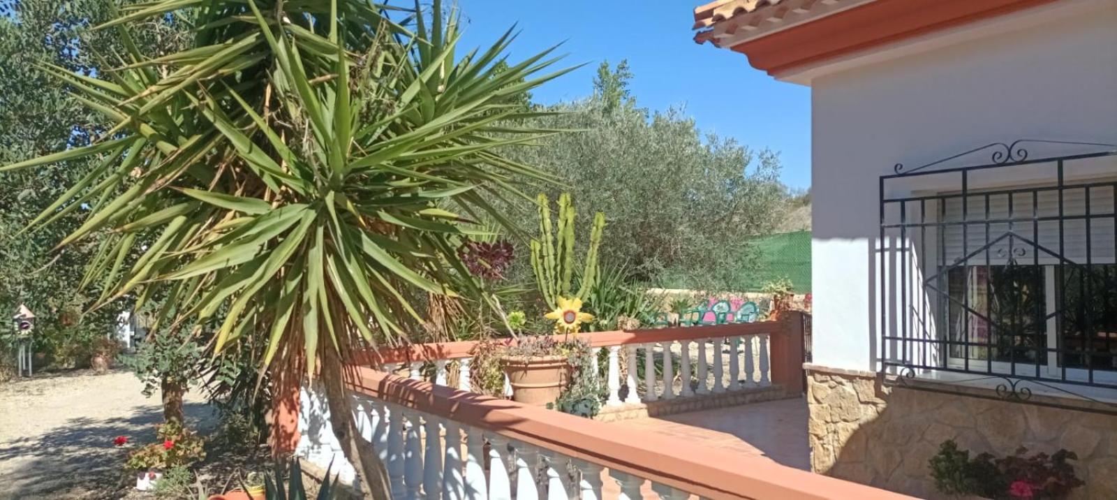 Villa Oasis Los Gallardos Extérieur photo